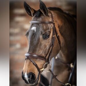 Kudos Competition Flash Bridle Havana